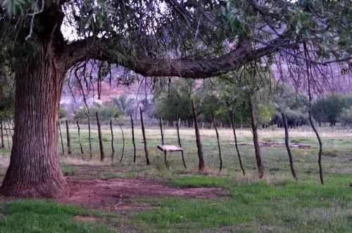 Grafton Ghost Town
